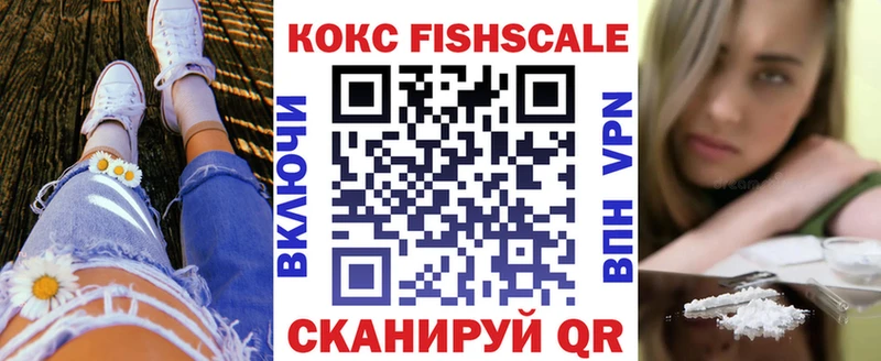 КОКАИН FishScale  где продают   Заводоуковск 