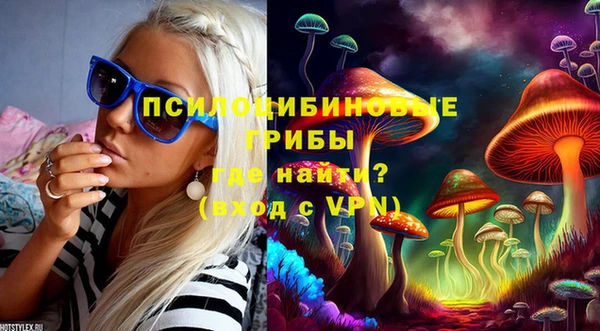 винт Алексеевка
