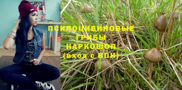 каннабис Алексин