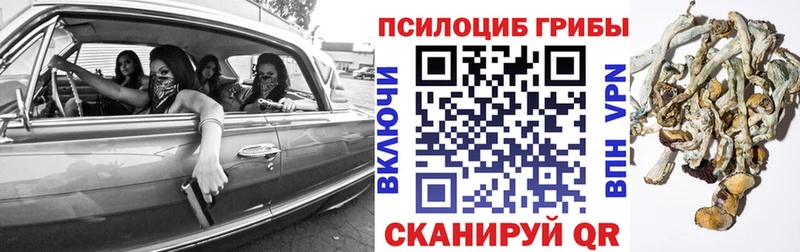 KRAKEN вход  Заводоуковск  Галлюциногенные грибы ЛСД 