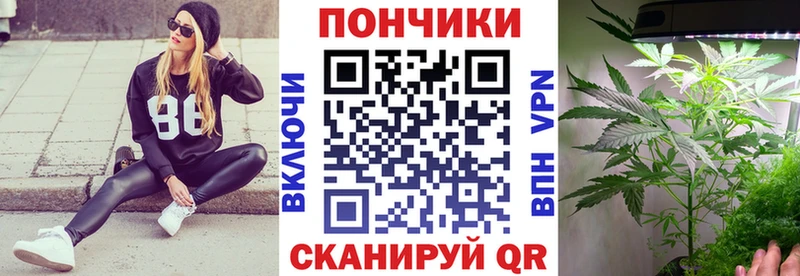 купить Заводоуковск Бошки марихуана Bruce Banner